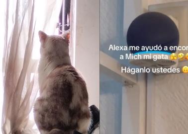 VIDEO | ¿Se te perdió tu gato? Así puedes encontrarlo con la ayuda de Alexa