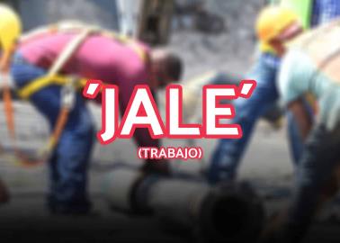 ¿Por qué le dicen jale al trabajo y cómo surgió este apodo?