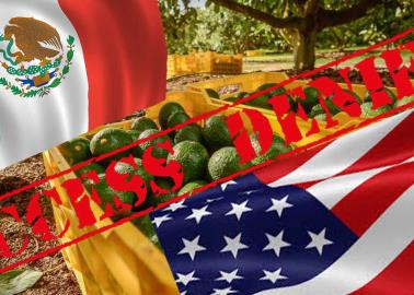 Estados Unidos cierra la frontera al aguacate michoacano