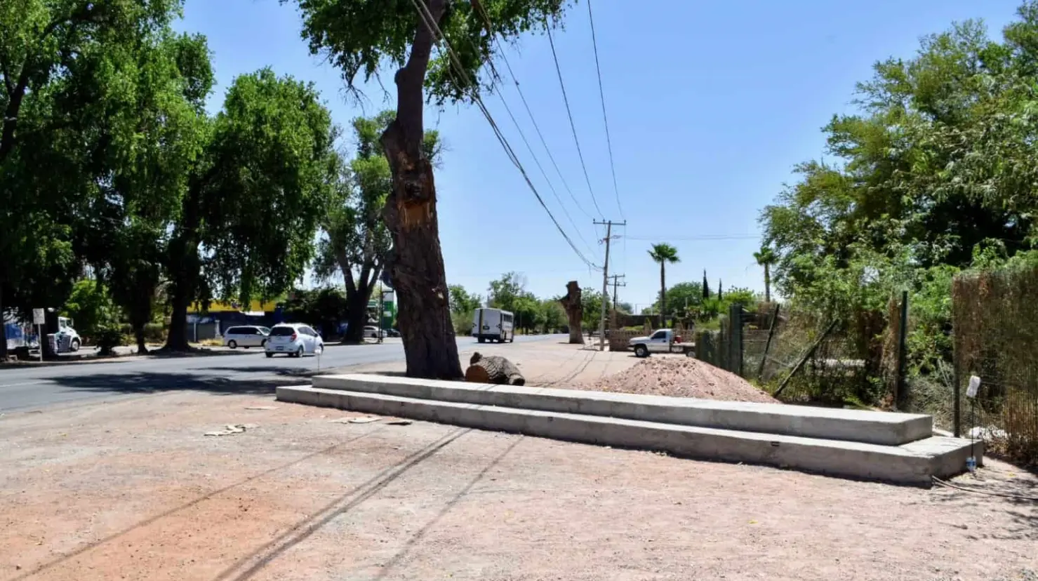 Restauran letras de Cócorit tras caerles un árbol encima