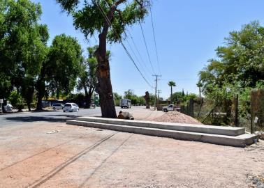 Restauran letras de Cócorit tras caerles un árbol encima