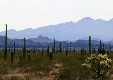 Desierto de Sonora superó esta zona que tenía el récord mundial de temperatura más alta