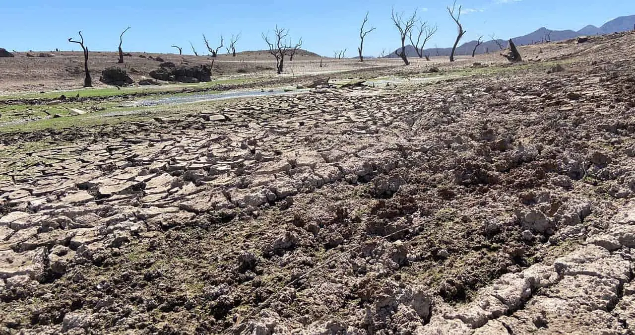 Cambio climático daña flora y fauna