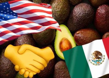 Estados Unidos abre la frontera al aguacate y mango michoacano nuevamente