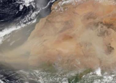 Polvo del Sahara podría llegar a Estados Unidos la próxima semana