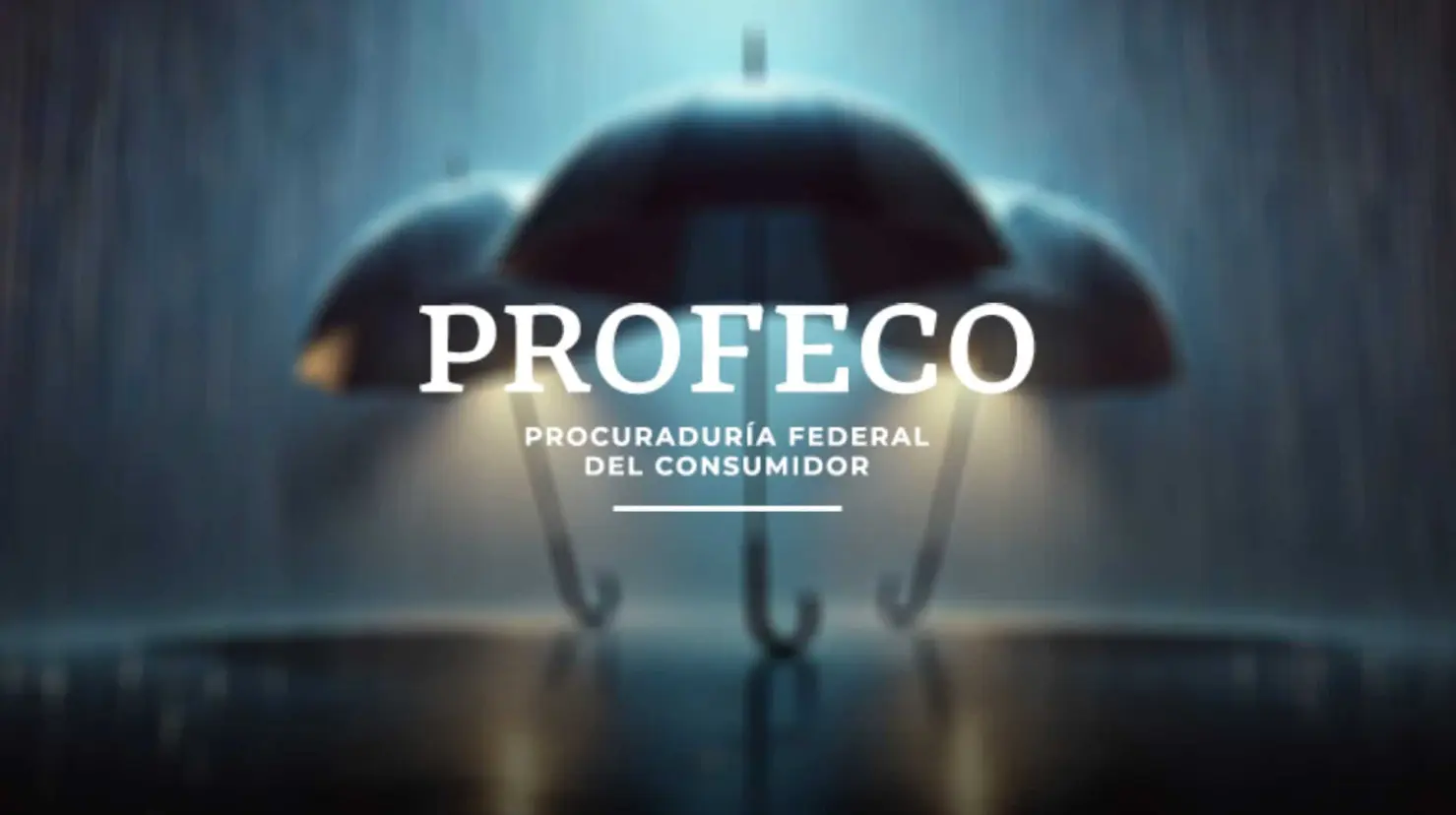 Profeco: Estos son los tres mejores paraguas para la temporada de lluvias
