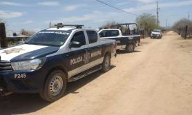 Denuncian envenenamiento de perros en San Pedro El Saucito, en Hermosillo