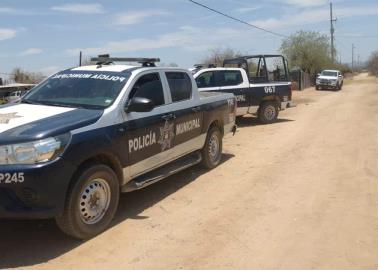 Denuncian envenenamiento de perros en San Pedro El Saucito, en Hermosillo