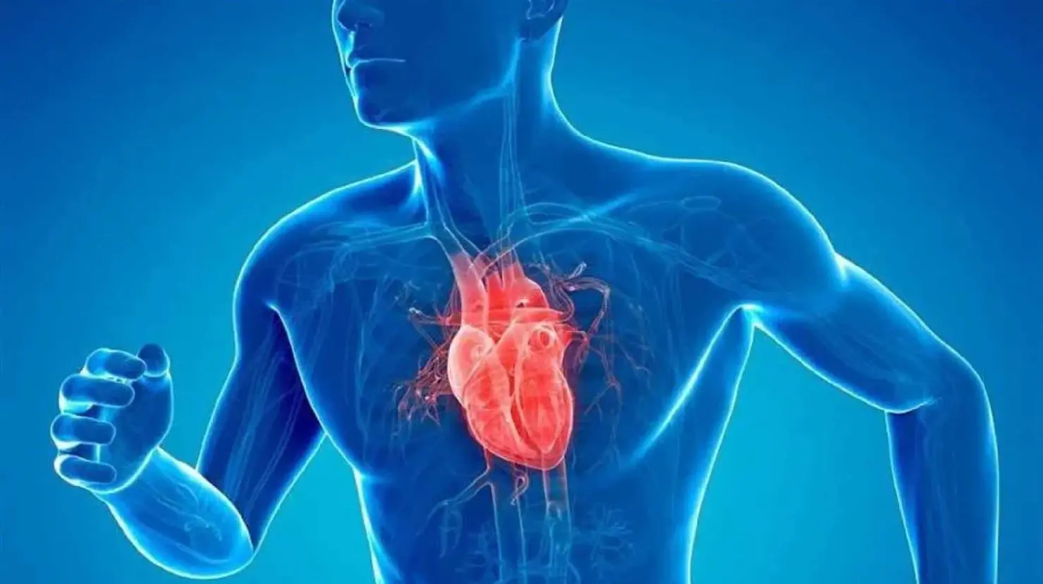 La medicina del ejercicio, nuevos avances en la cardiología
