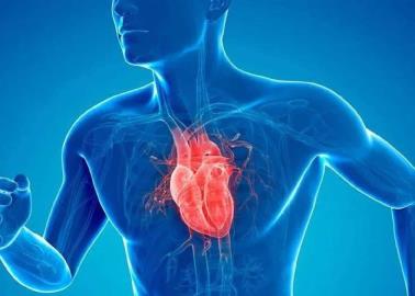 La medicina del ejercicio, nuevos avances en la cardiología