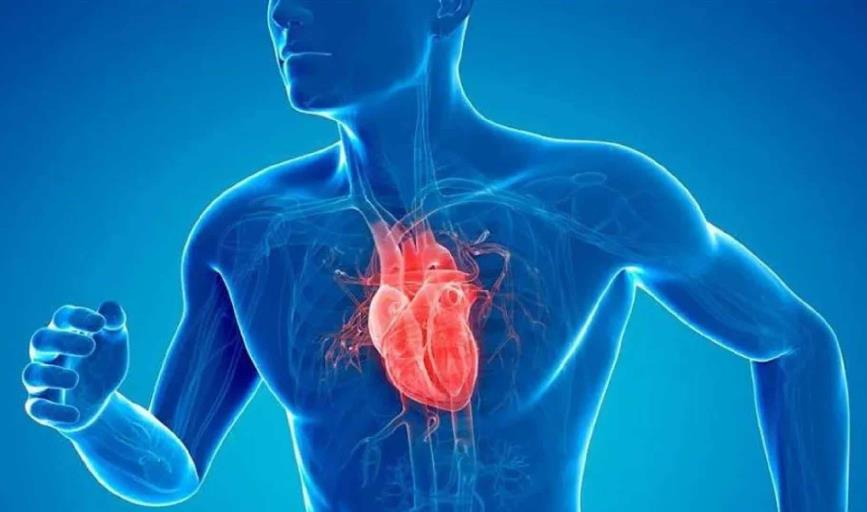 La medicina del ejercicio, nuevos avances en la cardiología