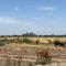 Sequía eleva los costos de producción de ganado en el sur de Sonora ¡POR LOS CIELOS!