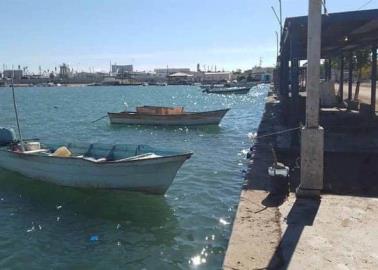 Pescadores de Yavaros confían que será una buena temporada de jaiba