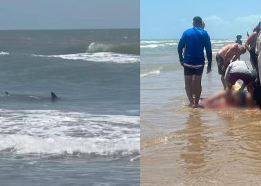 VIDEO | "Agradezco que fuera yo y no los niños": Se recupera  mujer atacada por un tiburón en la Isla del Padre