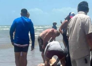 Se registra ataque múltiple de tiburón en Isla del Padre en Texas