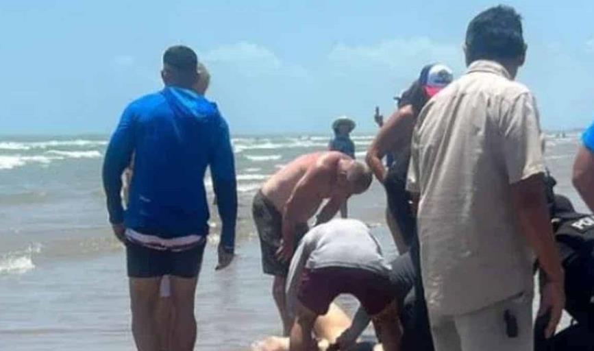 Se registra ataque múltiple de tiburón en Isla del Padre en Texas