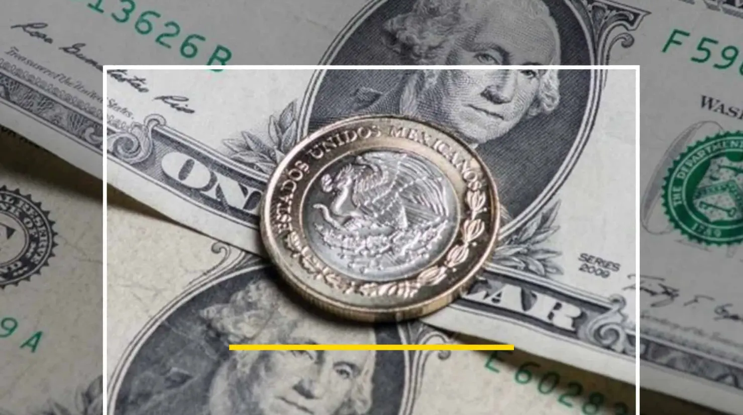 Precio del dólar hoy domingo 7 de julio; este es su tipo de cambio
