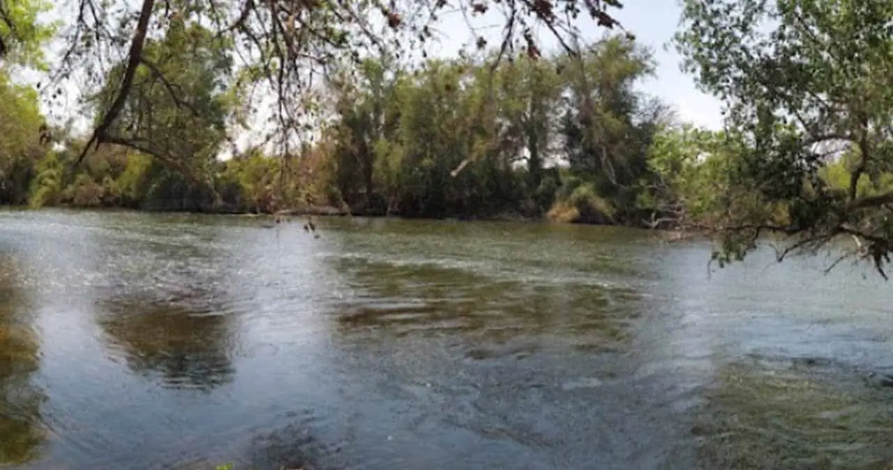 Por mortandad de peces, cierran paseos en Cajeme