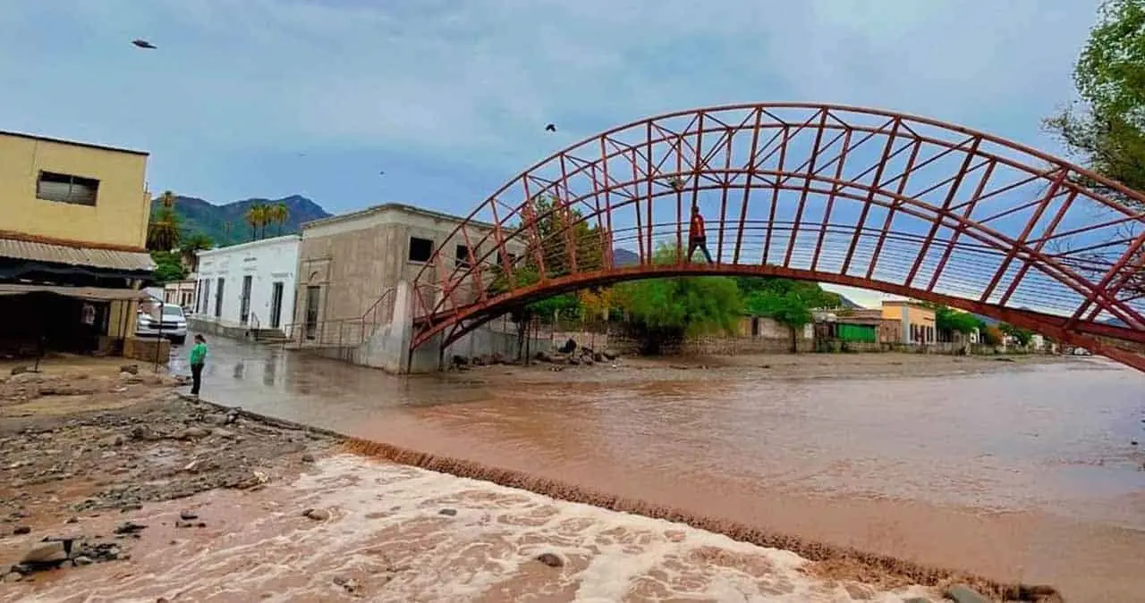 Vuelven a la vida, arroyos en Álamos