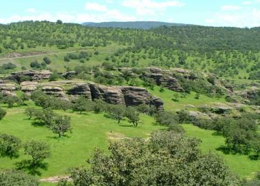 No creerás la temperatura que tiene este hermoso municipio de la Sierra de Sonora en los meses de julio y agosto