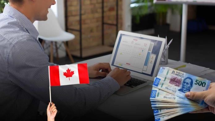 ¿Buscas trabajo? Embajada de Canadá en México tiene vacante con sueldo de hasta 436 mil pesos anuales ¿Buscas trabajo? Embajada de Canadá en México tiene vacante con sueldo de hasta 436 mil pesos anuales