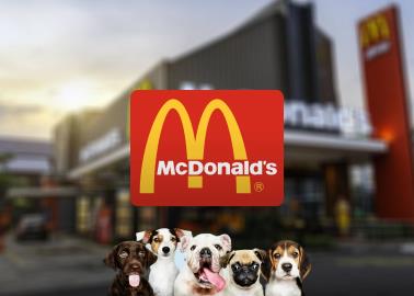 McDonalds anuncia promociones y regalo por el Día del Perro ¿Cuándo es? 