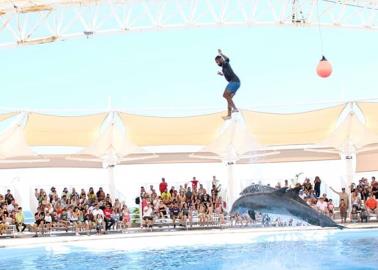 Estas vacaciones de verano vive una experiencia única en el Delfinario de Sonora