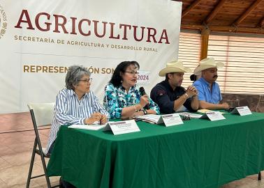 Sagarhpa y productores de Sonora se reúnen por la baja rentabilidad en el sector agrícola