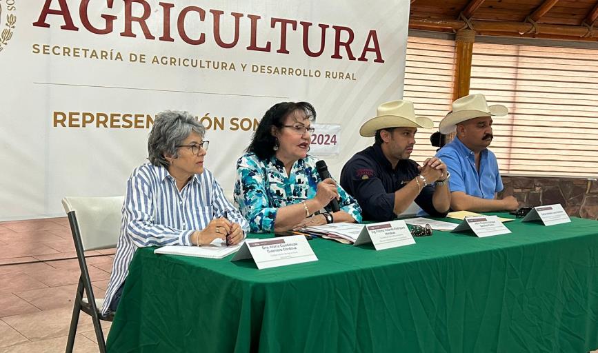 Sagarhpa y productores de Sonora se reúnen por la baja rentabilidad en el sector agrícola