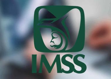 IMSS: sigue estos pasos para saber si estás dado de alta en el seguro