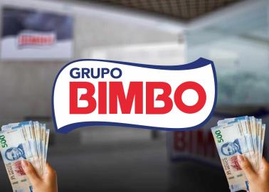 ¿Te gustaría trabajar en Bimbo? Estas son las vacantes que tiene con salarios de 7 a 48 mil pesos mensuales