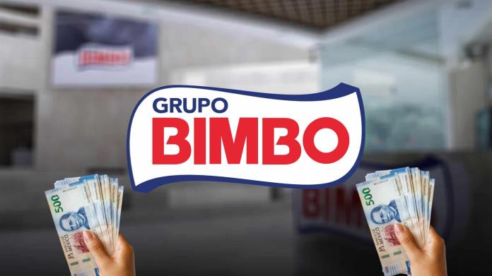 ¿Te gustaría trabajar en Bimbo? Estas son las vacantes que tiene con salarios de 7 a 48 mil pesos mensuales ¿Te gustaría trabajar en Bimbo? Estas son las vacantes que tiene con salarios de 7 a 48 mil pesos mensuales