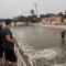 Lluvia arrastra vehículos en Navojoa; caen 66 mm