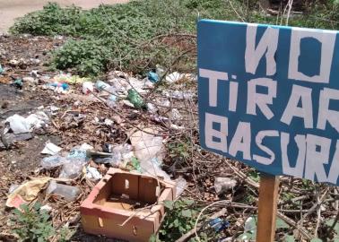 Basureros clandestinos dañan el medio ambiente