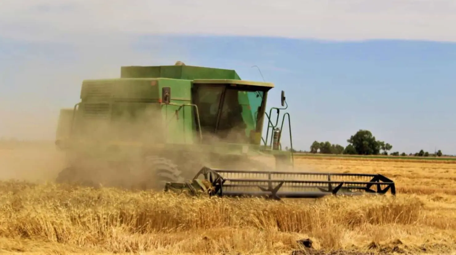 Saldrán 500 productores de la actividad agrícola en el sur de Sonora: Mario Pablos