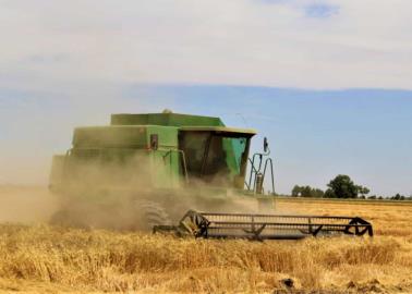 Saldrán 500 productores de la actividad agrícola en el sur de Sonora: Mario Pablos