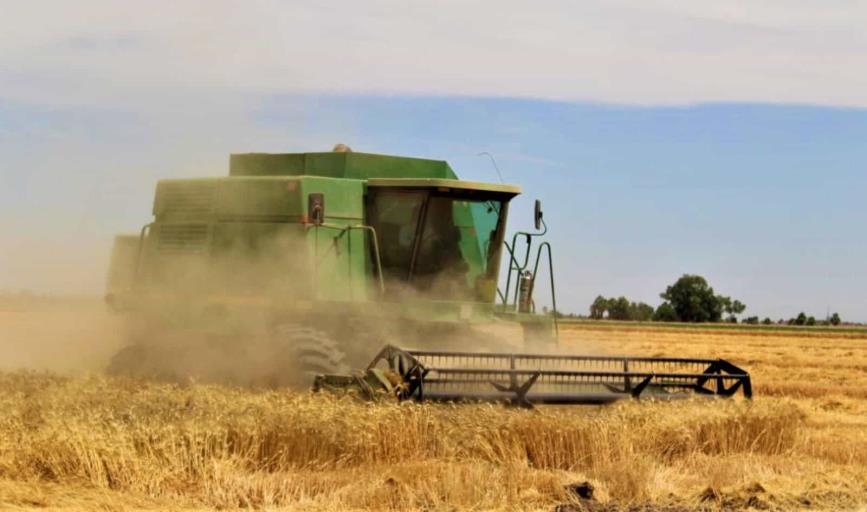 Saldrán 500 productores de la actividad agrícola en el sur de Sonora: Mario Pablos