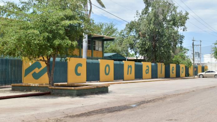 Alumnos del Conalep de Ciudad Obregón brindan atención médica Alumnos del Conalep de Ciudad Obregón brindan atención médica