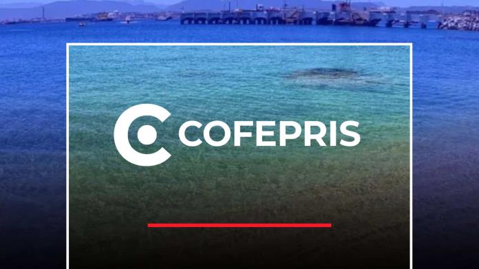 Esta playa de Jalisco es una de las más limpias de México, según Cofepris Esta playa de Jalisco es una de las más limpias de México, según Cofepris