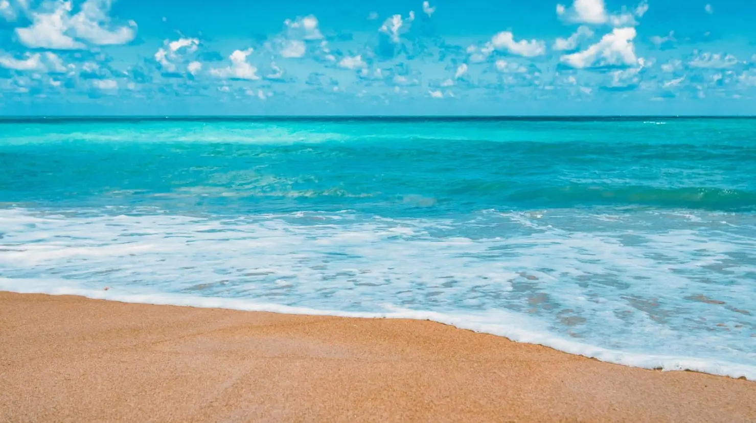 Estas son playas en México donde no puedes nadar, según Cofepris