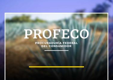 Profeco: estos son los cinco mejores tequilas 100% de agave azul y que no superan los $500