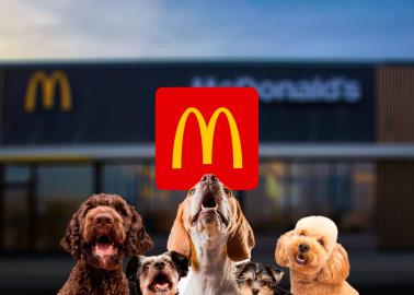 McDonald´s: ¿A qué hora inicia HOY la promoción del Día del Perro 2024?