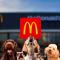 McDonald´s: ¿A qué hora inicia HOY la promoción del Día del Perro 2024?