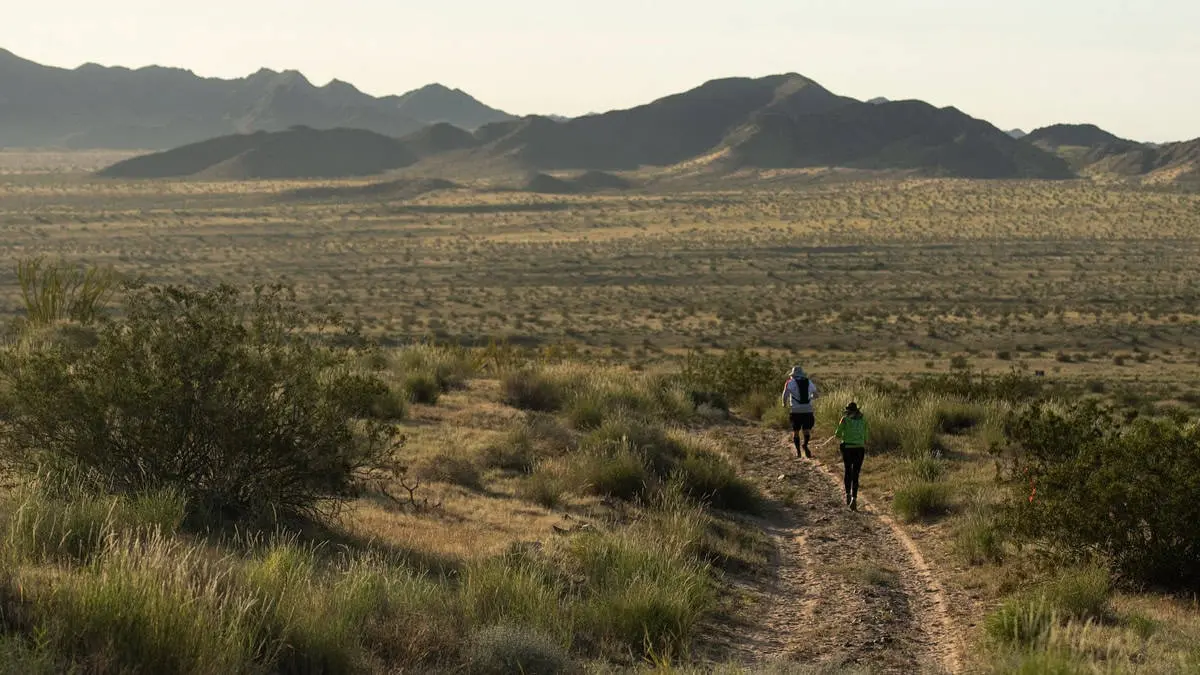 Fotos: Gran Carrera del Desierto /internet