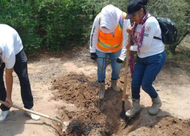 Madres Buscadoras de Huatabampo encuentran restos humanos en Etchojoa