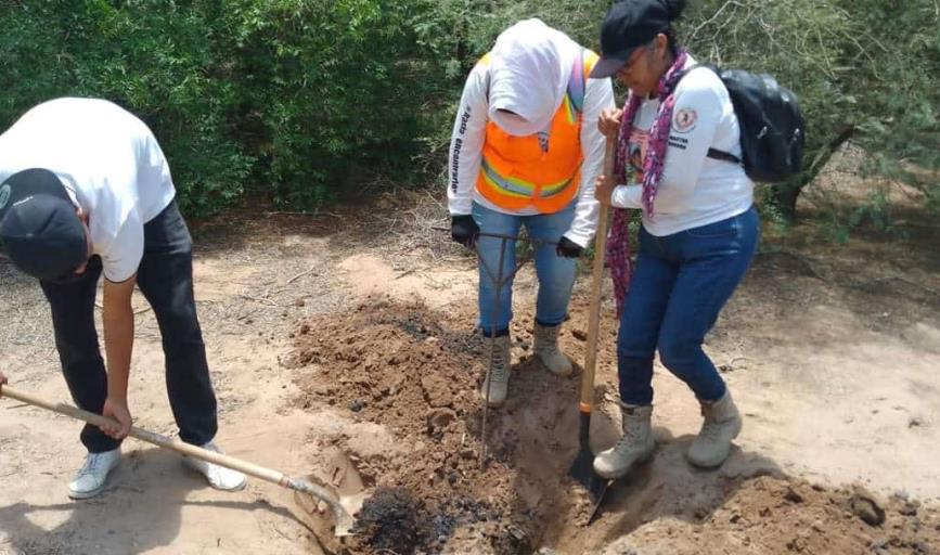 Madres Buscadoras de Huatabampo encuentran restos humanos en Etchojoa