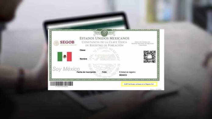 CURP: Estas son las personas que deben renovarla este 2024; ¿Cómo hacerlo? CURP: Estas son las personas que deben renovarla este 2024; ¿Cómo hacerlo?