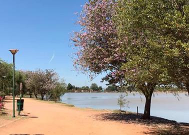 Laguna del Náinari: ¿qué se puede hacer en este bonito lugar de Ciudad Obregón, Sonora?