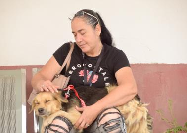 En Navojoa llaman a vacunar y desparasitar las mascotas de forma GRATUITA