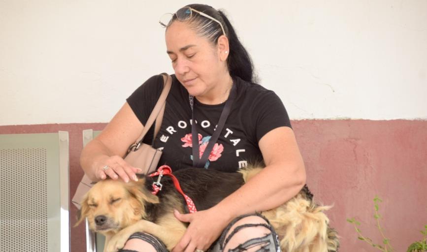 En Navojoa llaman a vacunar y desparasitar las mascotas de forma GRATUITA